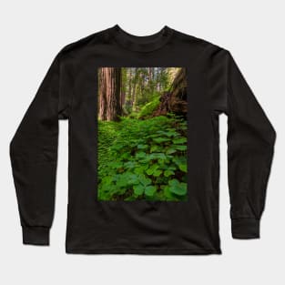 Redwood Sorrel in the Forest Long Sleeve T-Shirt